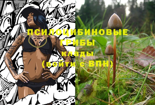 гашиш Арсеньев