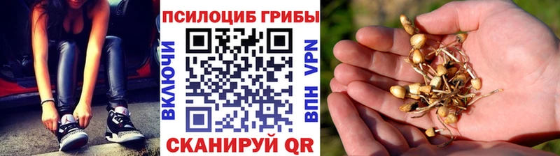 МЕГА   Долгопрудный  Псилоцибиновые грибы ЛСД  закладка 